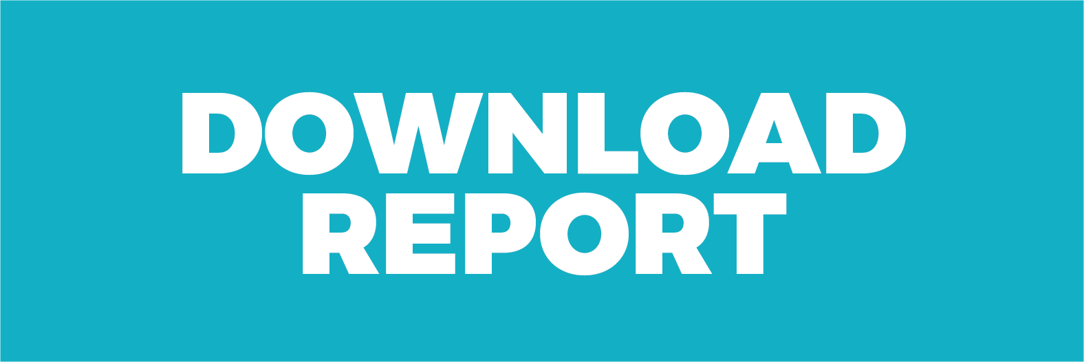 Download Report